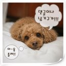 부산 초보 낚시 [민락항 줄낚시 후기]