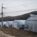 평택비닐