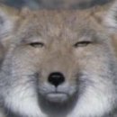 비비PC방 이미지