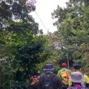 고양누리길 10코스 견달산누리길 | 견달산누리길 - 고양누리길10코스