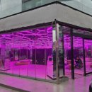 모모스테이션 이미지