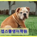조셉학원 | 조셉스쿨영어학원 국제학교·유학 준비 최적 환경
