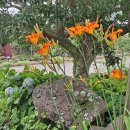 신흥1리 사무소 이미지