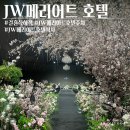 JW메리어트호텔서울 | JW메리어트호텔 결혼식 하객 아기랑 후기 (주차, 가는법, 식사)