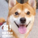 종로-신영-종로-영-237 | 마녀공장 🧙‍♀️ 클렌징워터 🧹내돈내산 2달 후기, 올리브영 추천템, 민감성 클렌징 방법 실천기