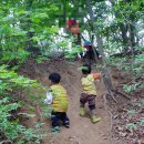 숲유치원 후기_린덴바움 유치원(서울시 종로구) / 마래푸 셔틀 유치원 / 강추 후기