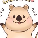 쿼카Glen