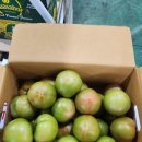 부산 찰토마토&amp;흑대추방울토마토 &amp;국내산 블루베리 특가판매!!!! 이미지