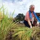 한국기계유통단지 이미지