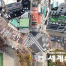 금정초교 이미지