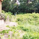 김양택 선생묘 이미지