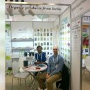 엔젤스토리 이미지