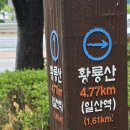 RE:6월23일(화)기차길옆 경의선 가로숲길(만나는곳 백마역으로 변경) 이미지