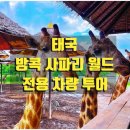 사파리월드 - 포천시 가산로240번길 31-1 | 사파리월드