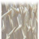 강우량측정기 이미지