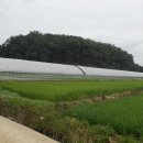 종석농장 이미지