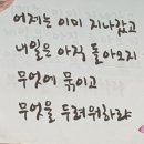 바이오메딕스코리아 네이버블로그