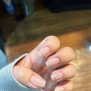 손토비발토비 이미지