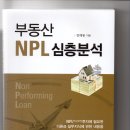 NPL(부실채권) 특강. 정해룡교수, 2/27(토)- 2/28(일) 오후 2시부터 5시간씩, 총10시간 이미지