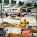 소비자유통 이미지