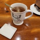 클로리스 이미지