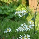 봉암동017 이미지