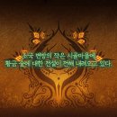 라피스 이미지