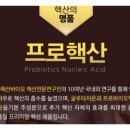 가인바이오넷
