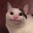 시온세차장 | daily life in August