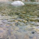 쉴만한 물가 민박 이미지