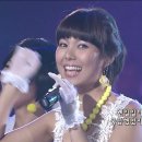 한동안 뜸했었지 / 거북이(Turtle) 이미지
