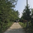 편백숲관광안내소 이미지
