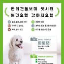 한사랑펫 네이버블로그