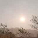 이순석농장 | 1471. 인문운동가의 사진 하나, 시 하나