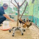 발안바이오고등학교 이미지