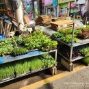 사천읍시장주차장 이미지