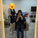 디엘헤어(DL헤어)