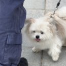 초이로움 이미지