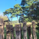 호수길 걷기명상 이미지