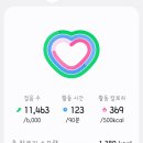 평해남대천체육공원 | [ 양양 ] 강원도 벚꽃놀이 하기 좋은곳 양양 송이조각공원 양양남대천체육공원 소니a6000 무보정