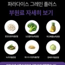 마산노인복지관 장기, 바둑실 | 생활지원사 실무 현장: 장기요양 전환 후 도시락 배달 관리와 동료들과의 힐링 수다