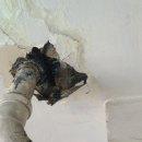 5단지세탁 이미지