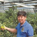 대강농장 이미지