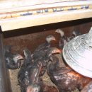 호정농장 이미지