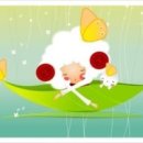 일단해 Daum카페