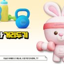 진바디핏 이미지