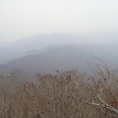 밀양농협 산내지소 Daum카페