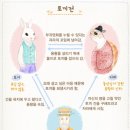 교과서여행 이미지