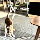 (주)펫코 이미지