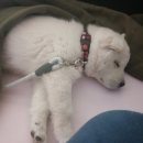 달아실 농원 이미지